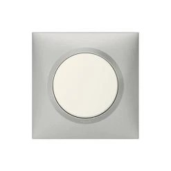 Plaque Dooxie - 1 Poste - Carré - Aluminium LEGRAND